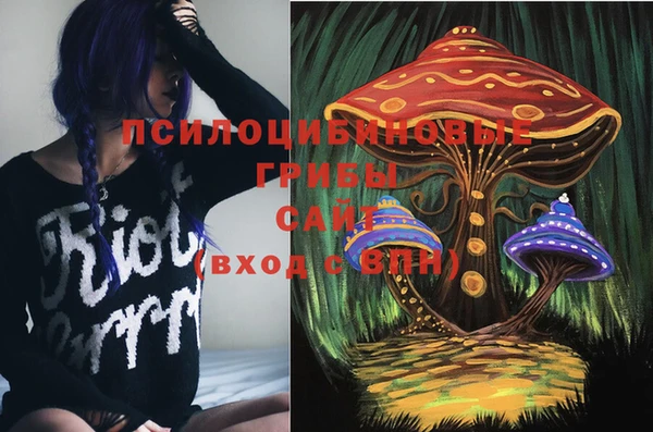 дурь Абинск