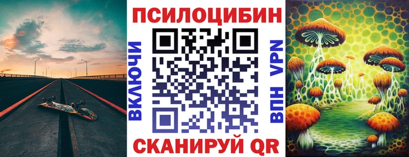 Псилоцибиновые грибы Cubensis  KRAKEN зеркало  Сольцы 